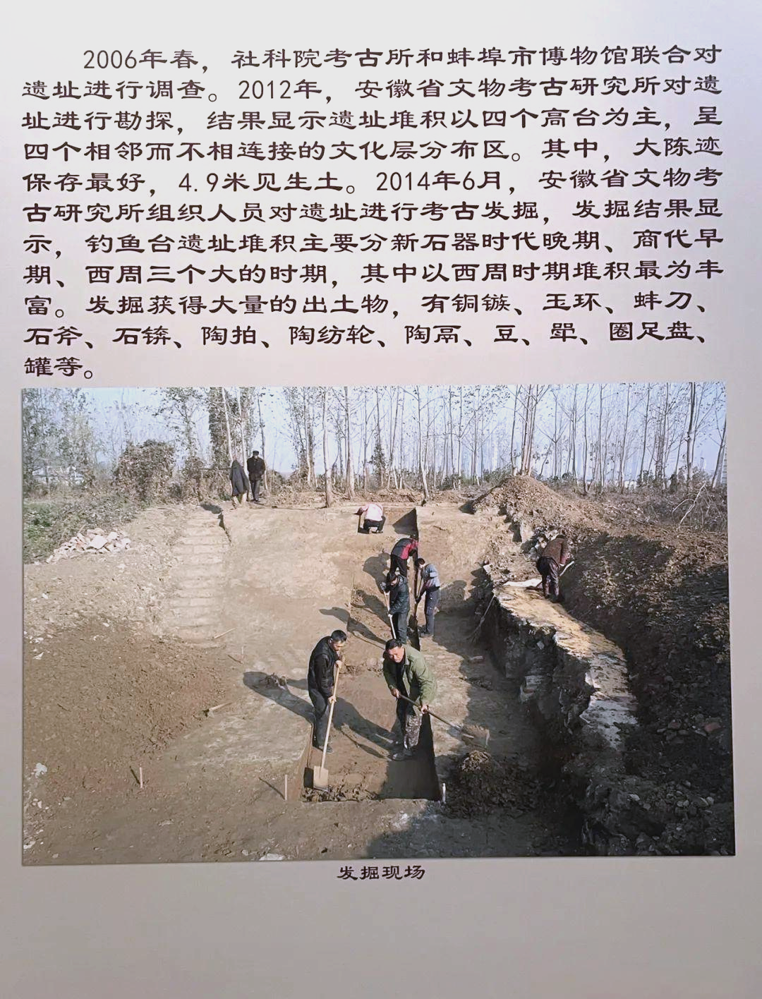 蚌埠双墩遗址：淮河文明之光｜访古