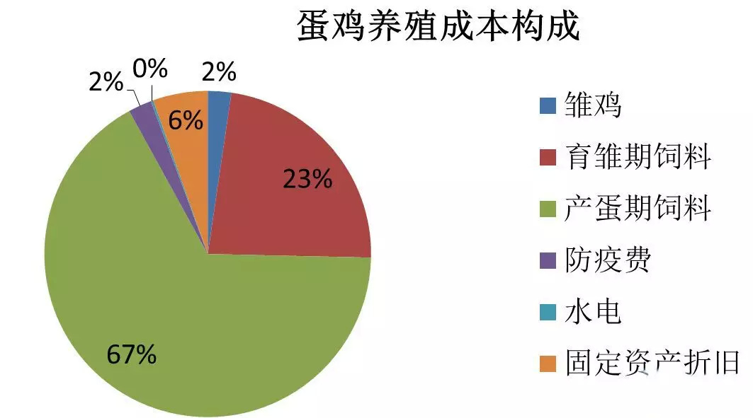 成本与政策双重挑战下，2025年预混料行业投资战略研究_人保财险 ,人保有温度