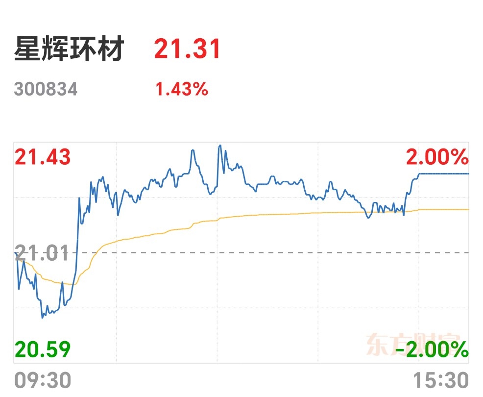 星辉环材（300834）2025年一季报简析：净利润减16.59%