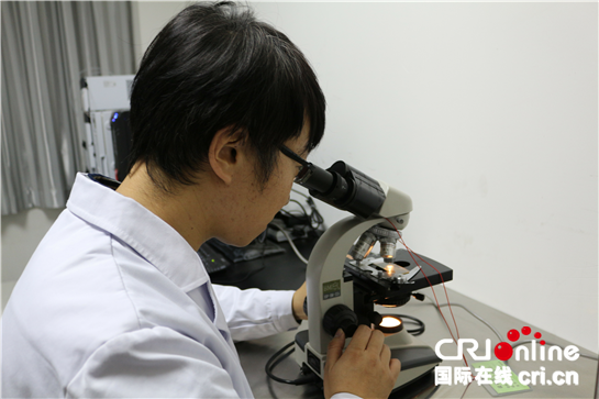 破解给药难题 科研团队研发出器官“创可贴”