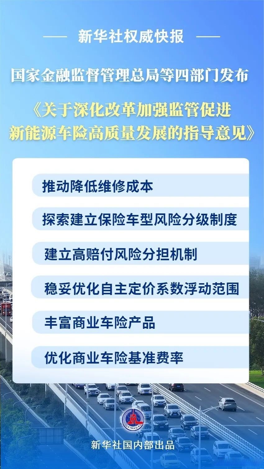 2025中国线下零售行业：投资机会与风险分析_人保车险   品牌优势——快速了解燃油汽车车险,人保服务