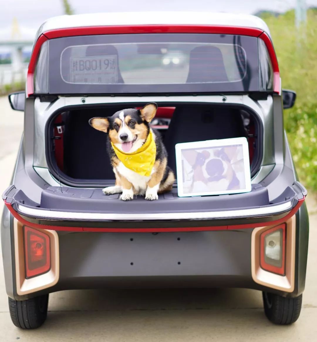 一座城和650万辆电动车，深圳换电加速跑