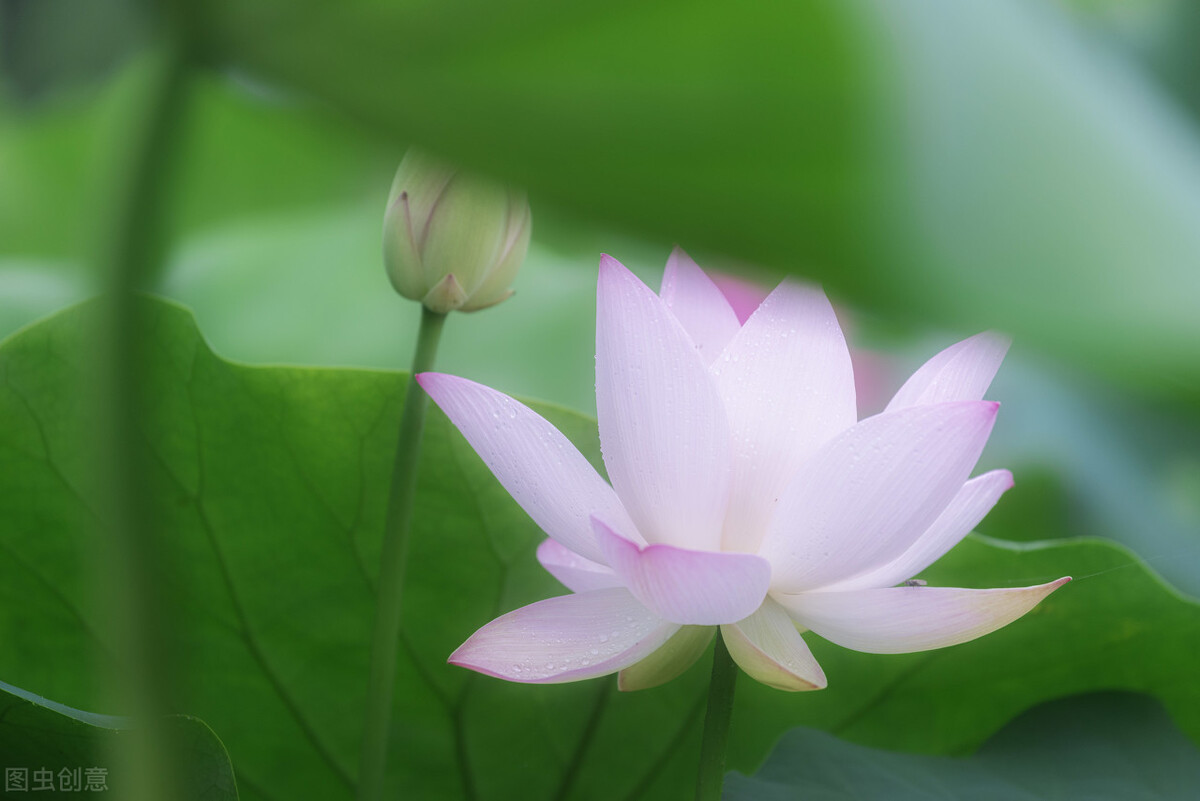 资深生命教练闲子谈入行原因：一位母亲跨越生死的力量密码