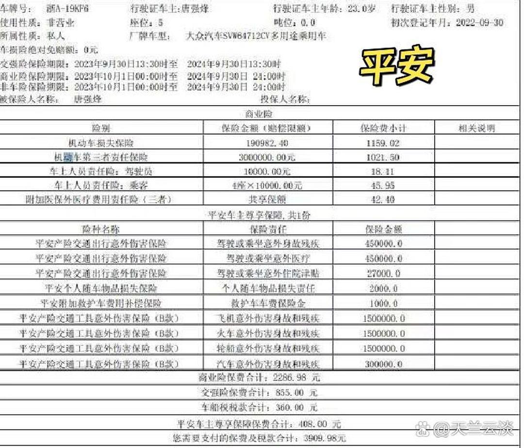 2025年数字贸易行业发展前景预测及投资分析_人保车险   品牌优势——快速了解燃油汽车车险,人保伴您前行