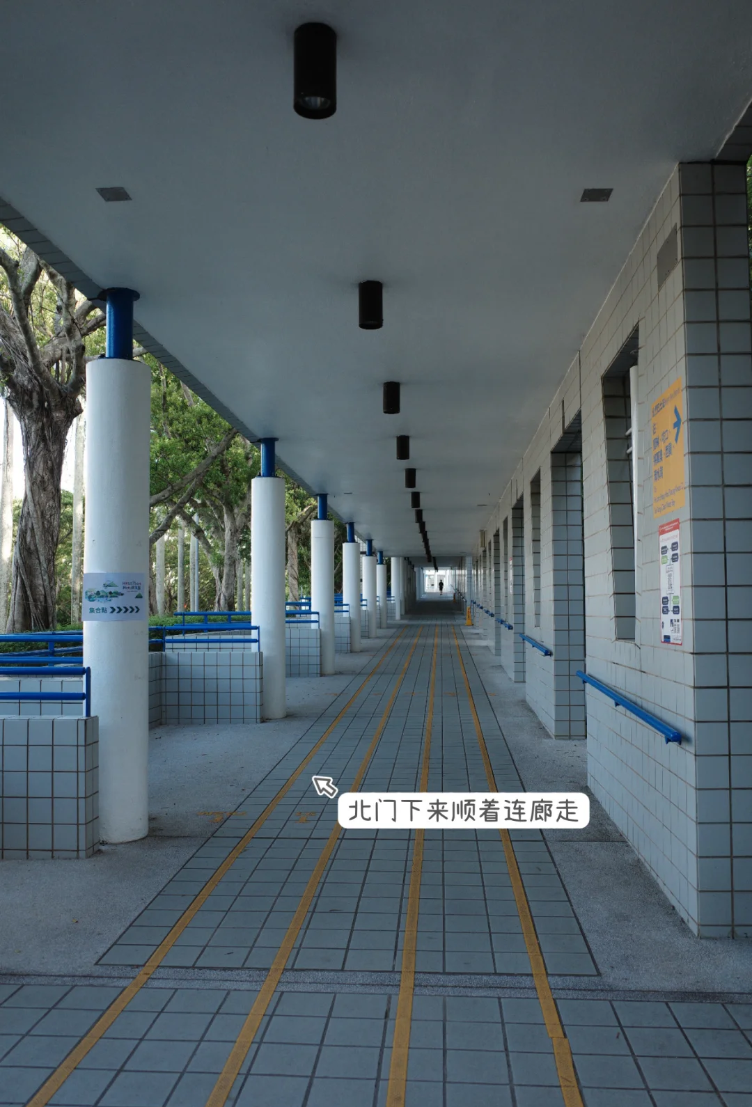 科强股份盘中创历史新高