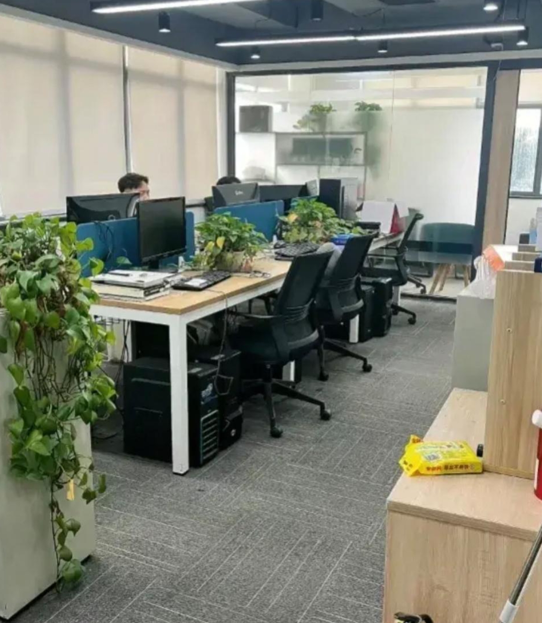 常山药业：公司暂时没有重组计划