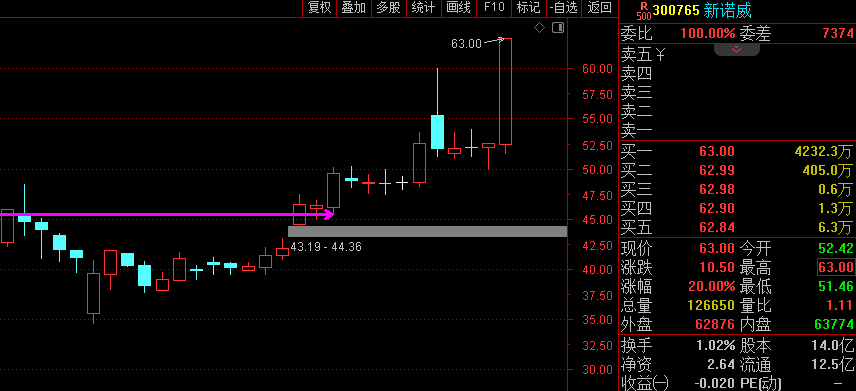 新诺威6月6日龙虎榜数据