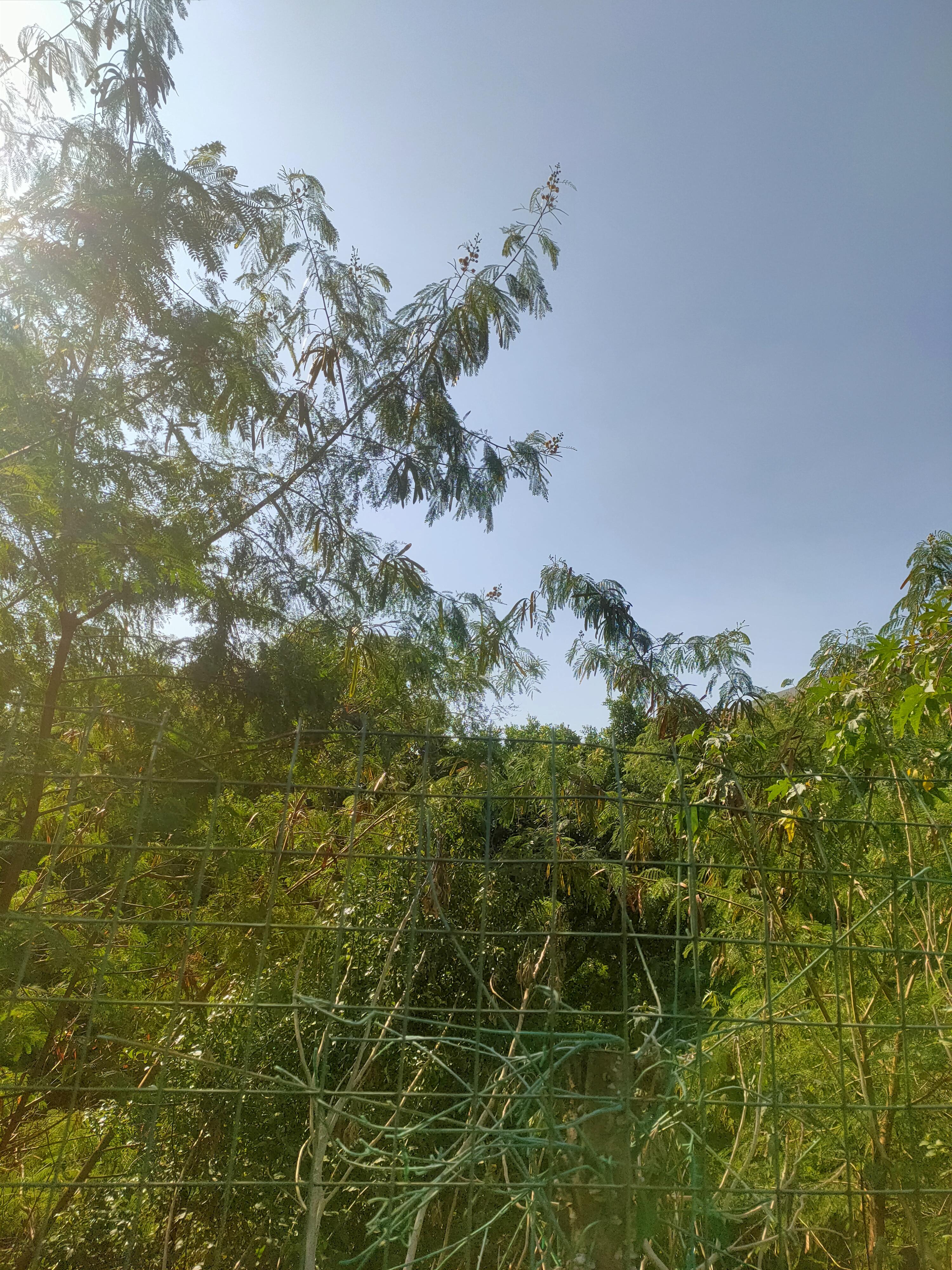 世界上最悲伤的地方