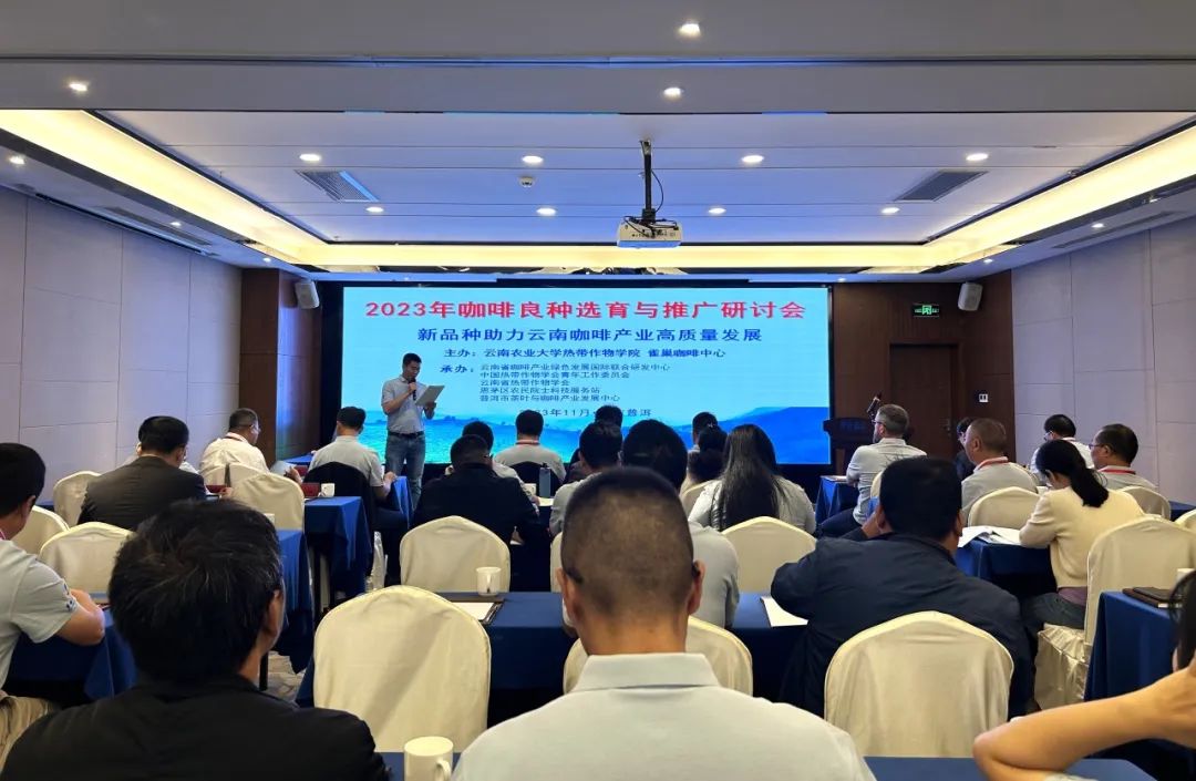 双向发力，中国品牌开启“内外通吃”模式