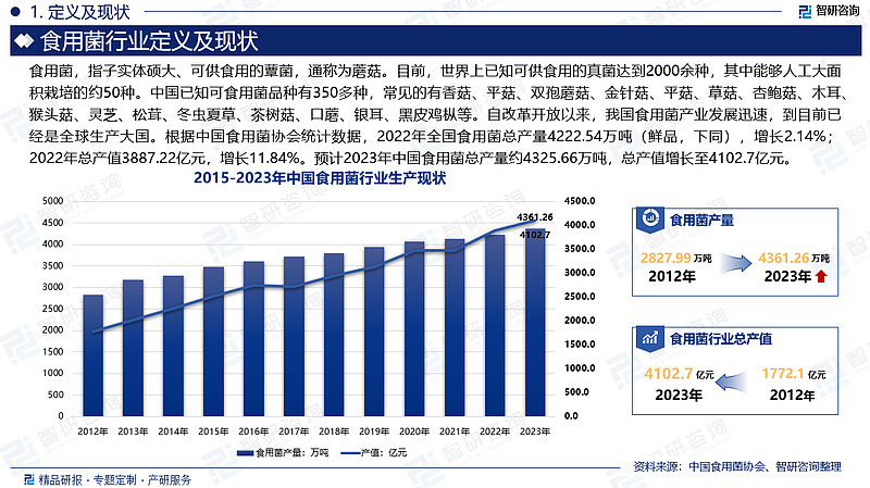 2025中国时尚穿搭产业全景与市场规模、未来发展趋势展望_人保财险 ,人保护你周全