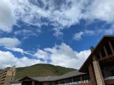 云鼎科技:公司与高密友道化工公司暂无业务往来