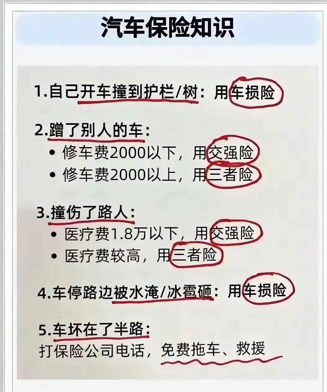 人保车险   品牌优势——快速了解燃油汽车车险,人保有温度_生物柴油行业现状与发展趋势分析(2025)