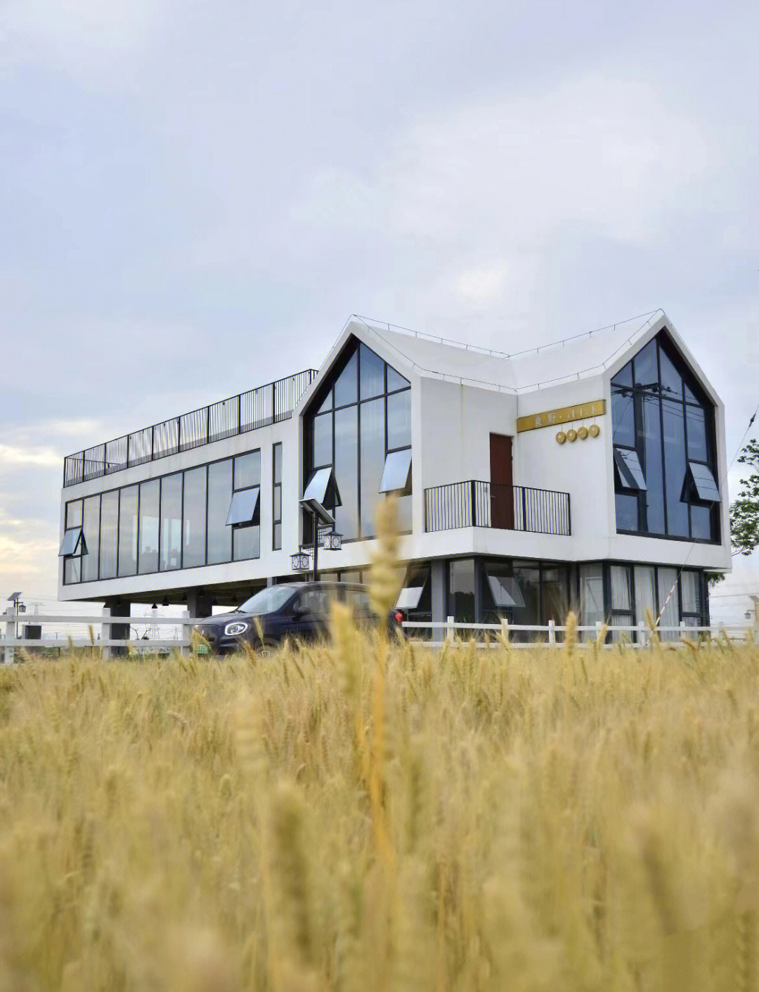 台州椒江新晋网红打卡地，稻田边有宝藏“壁画”