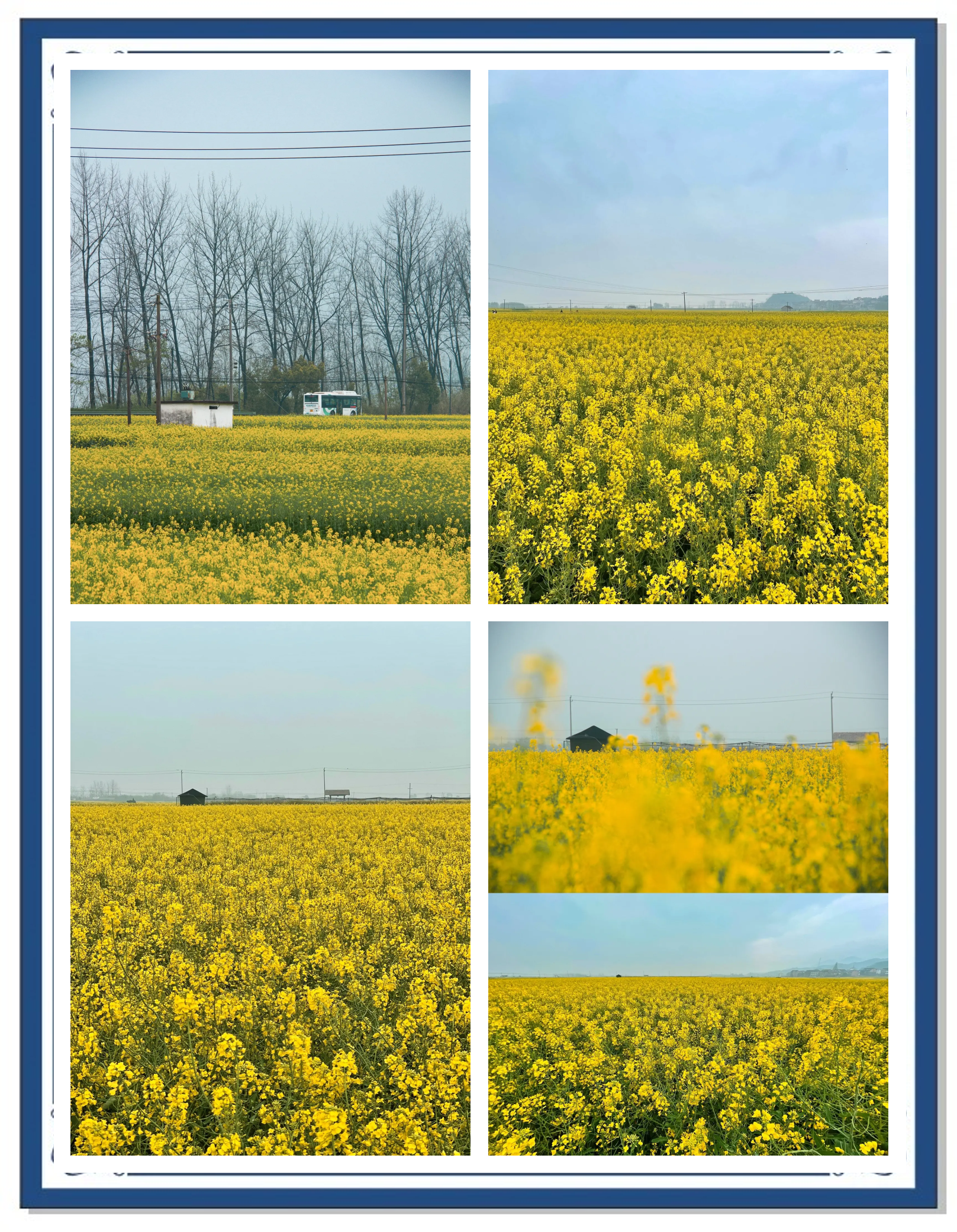 台州椒江新晋网红打卡地，稻田边有宝藏“壁画”