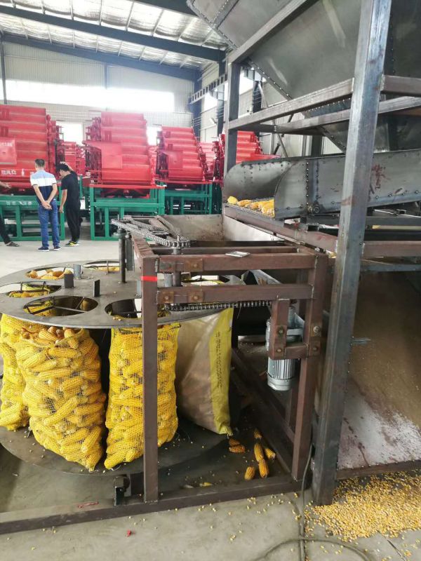 中电鑫龙：公司目前没有MSO牌照