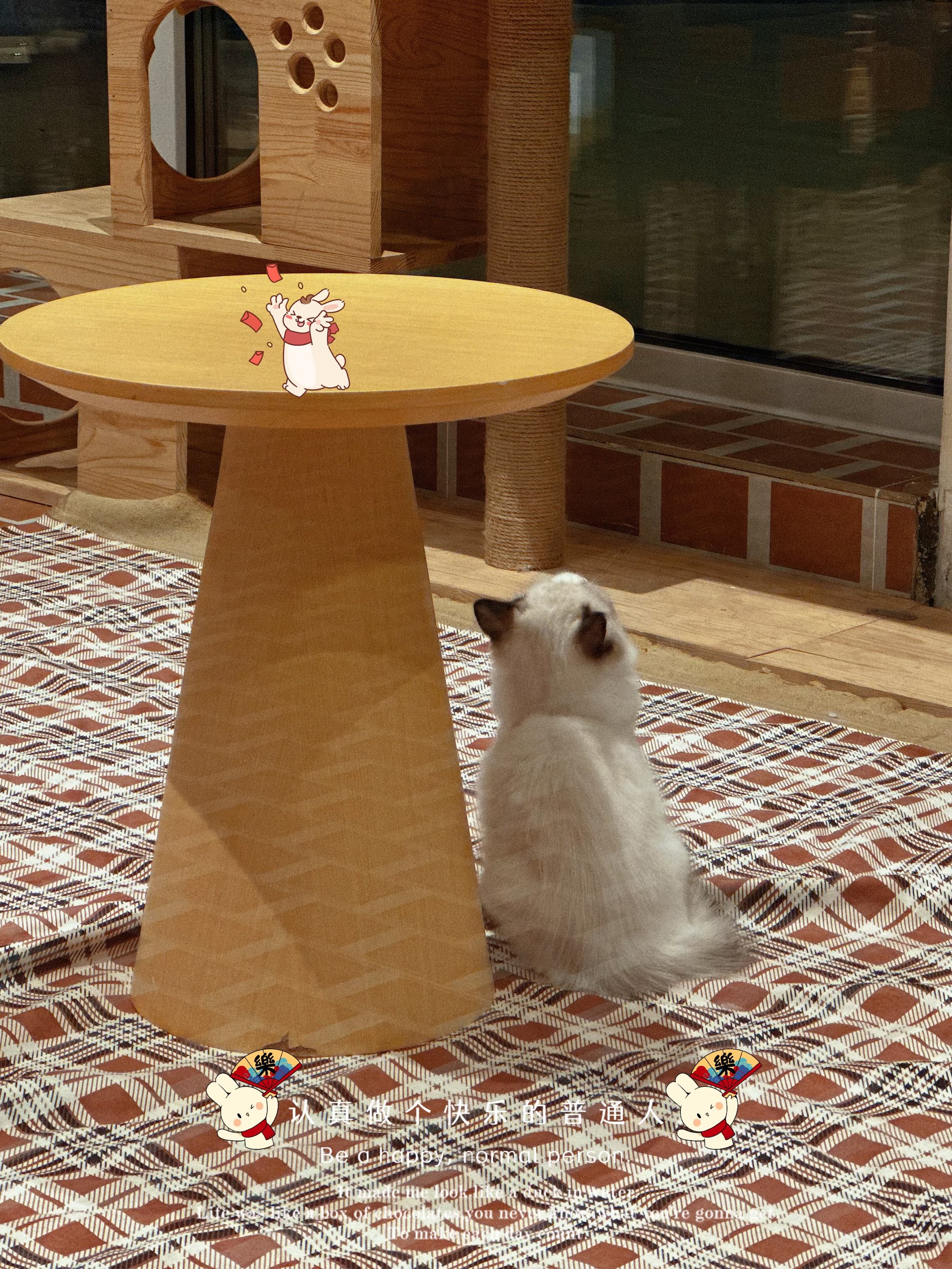 如何在工作日调研商场？ | 猫猫看市