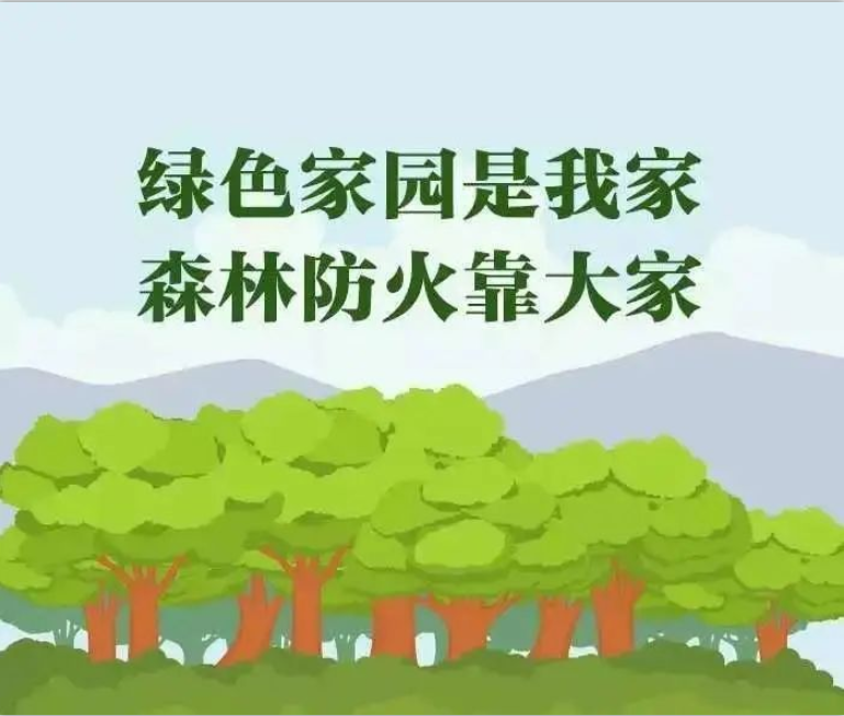 保险有温度,人保财险政银保 _2025年石膏基防火涂料行业：绿色防火材料的市场机遇与挑战