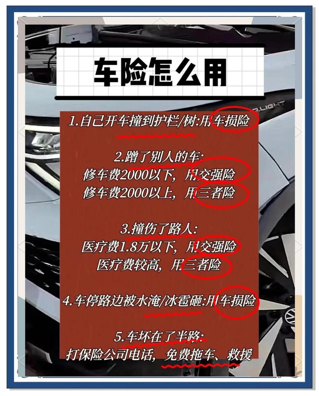 人保车险 品牌优势——快速了解燃油汽车车险,人保伴您前行_2025盆栽植物行业发展现状及市场规模、趋势分析