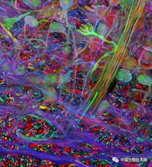 时报观察丨以制度适配激活科技创新基因