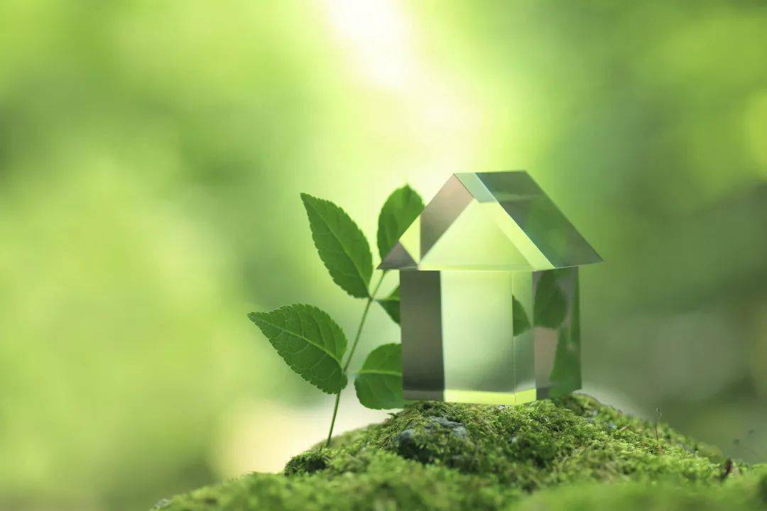 2025—2030年绿色电力行业分析_人保车险,拥有“如意行”驾乘险,出行更顺畅!