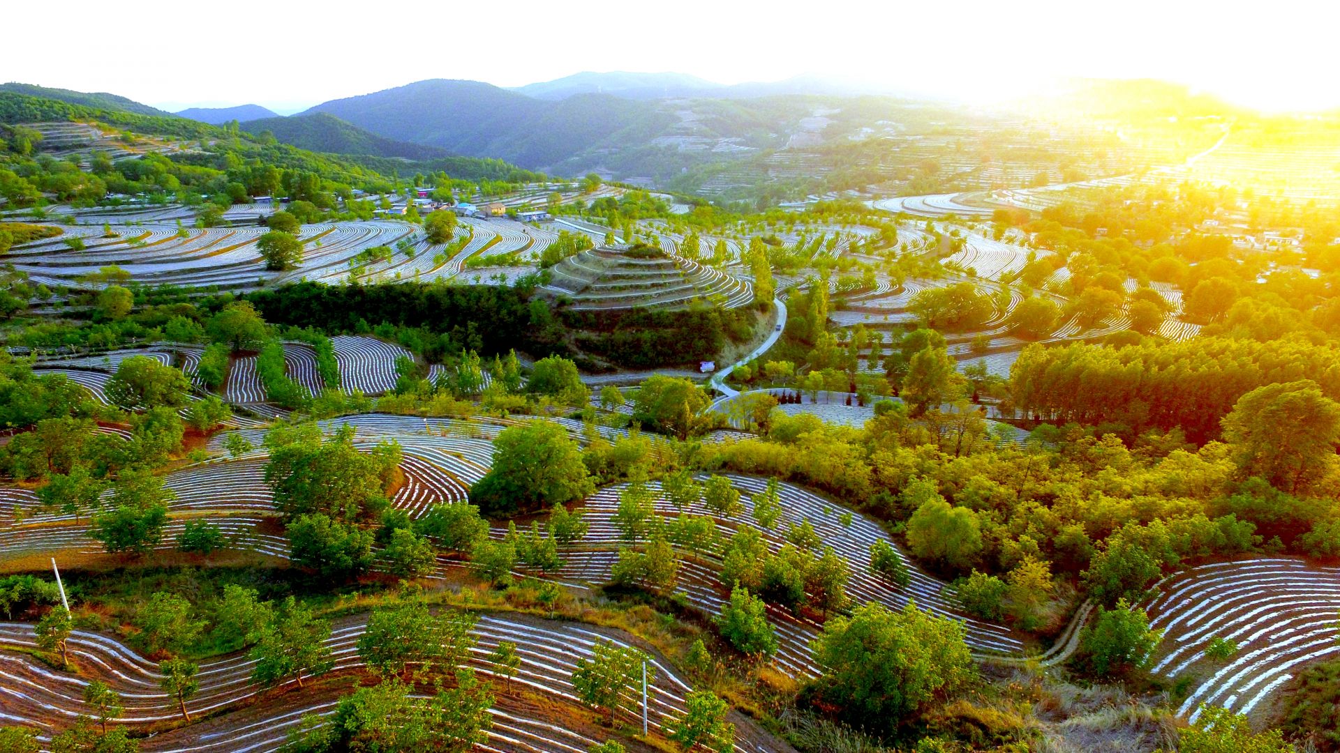 华电新能启动询价 依托资本市场推动绿色能源高质量发展