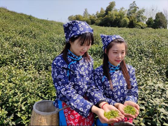 华电新能启动询价 依托资本市场推动绿色能源高质量发展