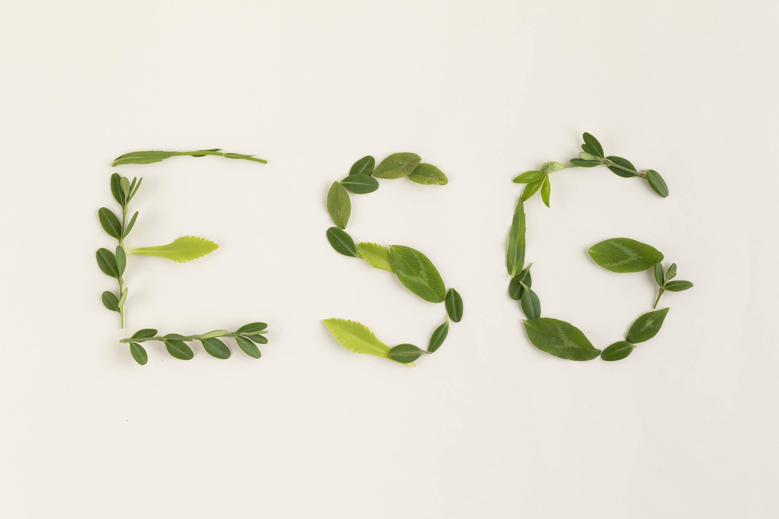 【ESG动态】音飞储存（603066.SH）获华证指数ESG最新评级C，行业排名第475