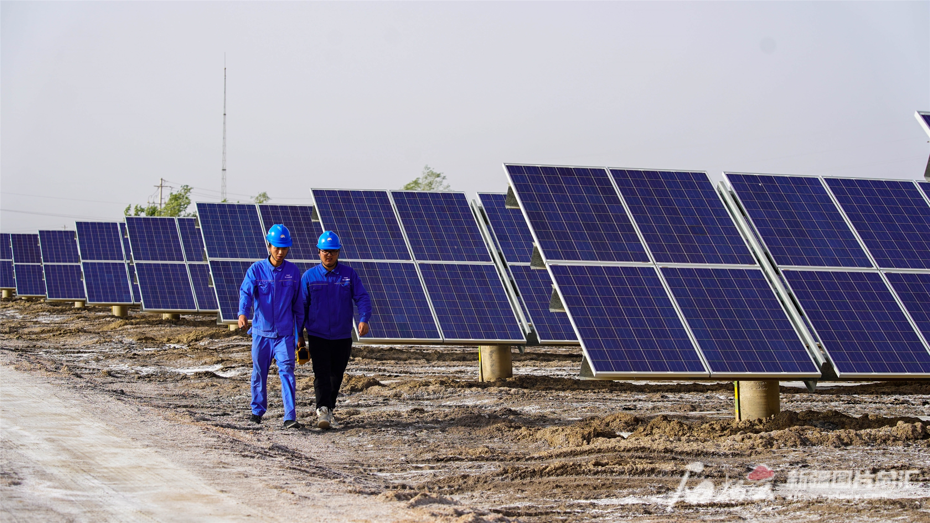 汇绿生态：预计上半年净利润为3600万元―4900万元