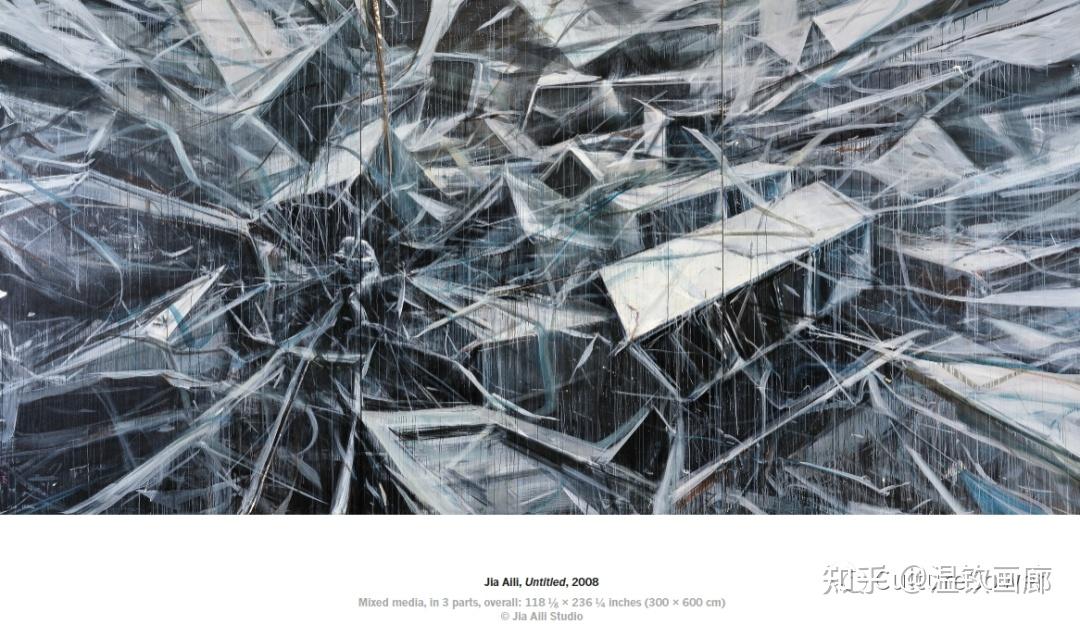 当代艺术家：贾蔼力