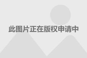 长江电力获得发明专利授权：“基于多信道的野外遥测设备低功耗管理方法”