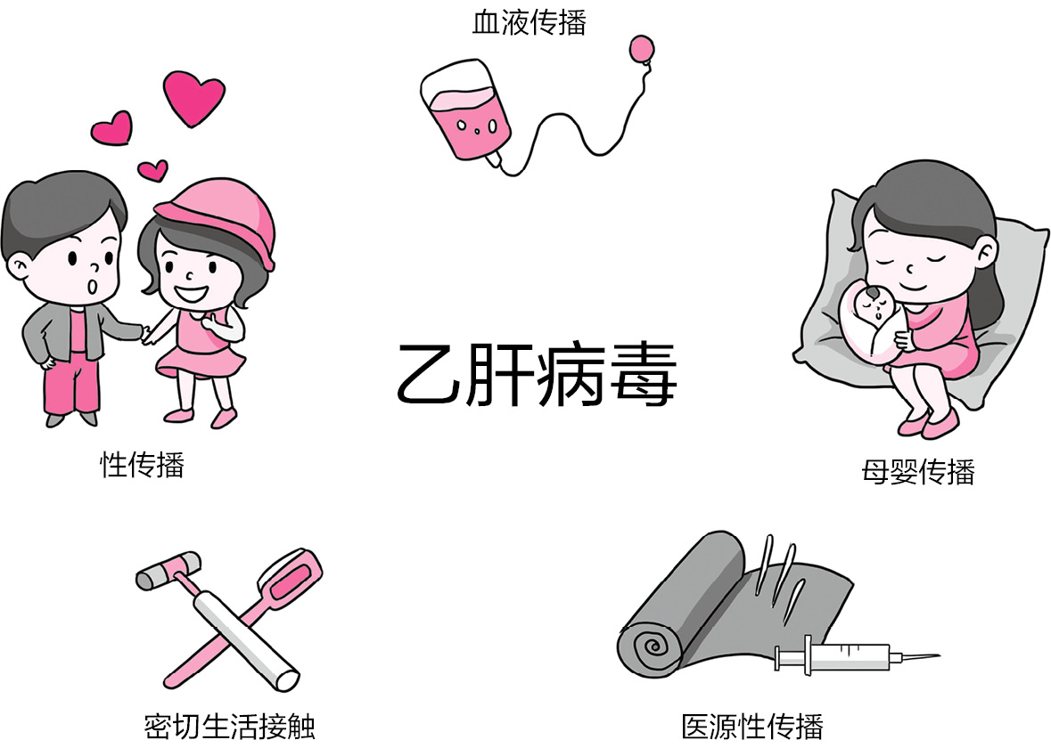 病毒学家李文辉：打开乙肝病毒之门