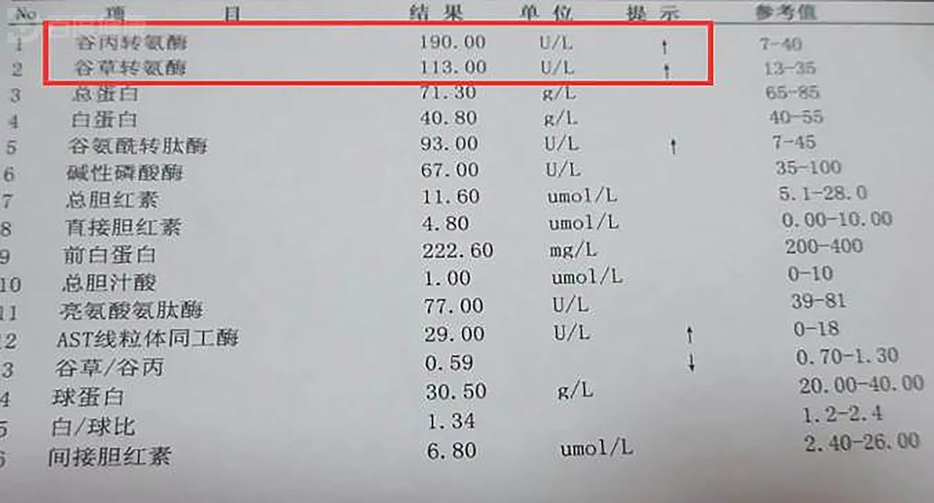 病毒学家李文辉:打开乙肝病毒之门