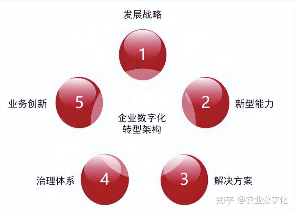 【金融一线调研】从“看行业”到“看转型”：银行重构农企信贷逻辑