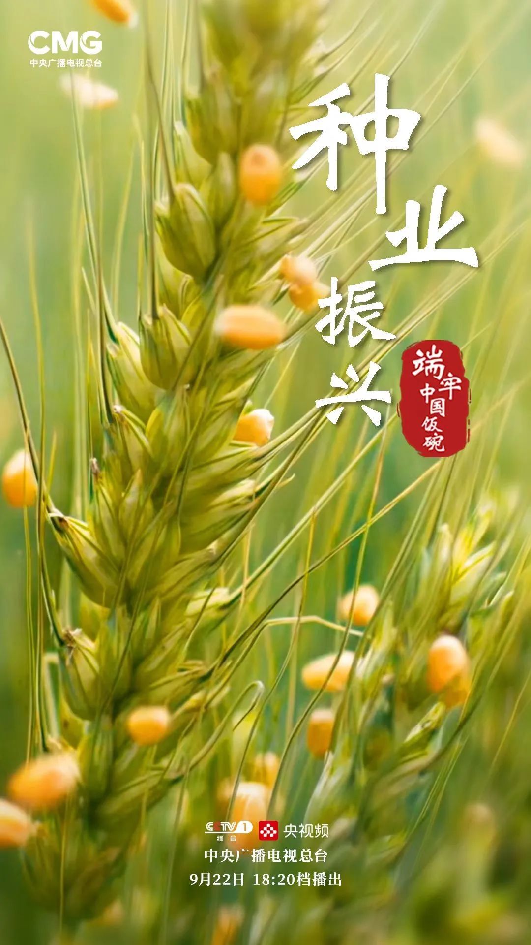 2025中国种业：为什么说种业是“农业的芯片”?_人保服务 ,人保伴您前行