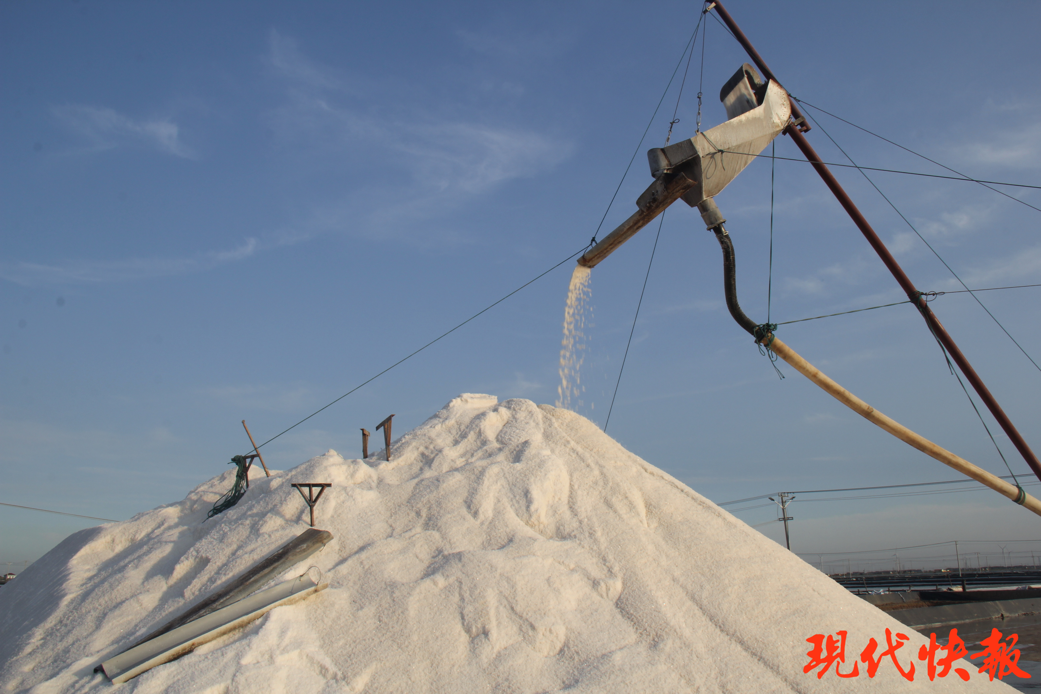 光明乳业披露总额5390万元的对外担保，被担保方为江苏银宝光明牧业有限公司