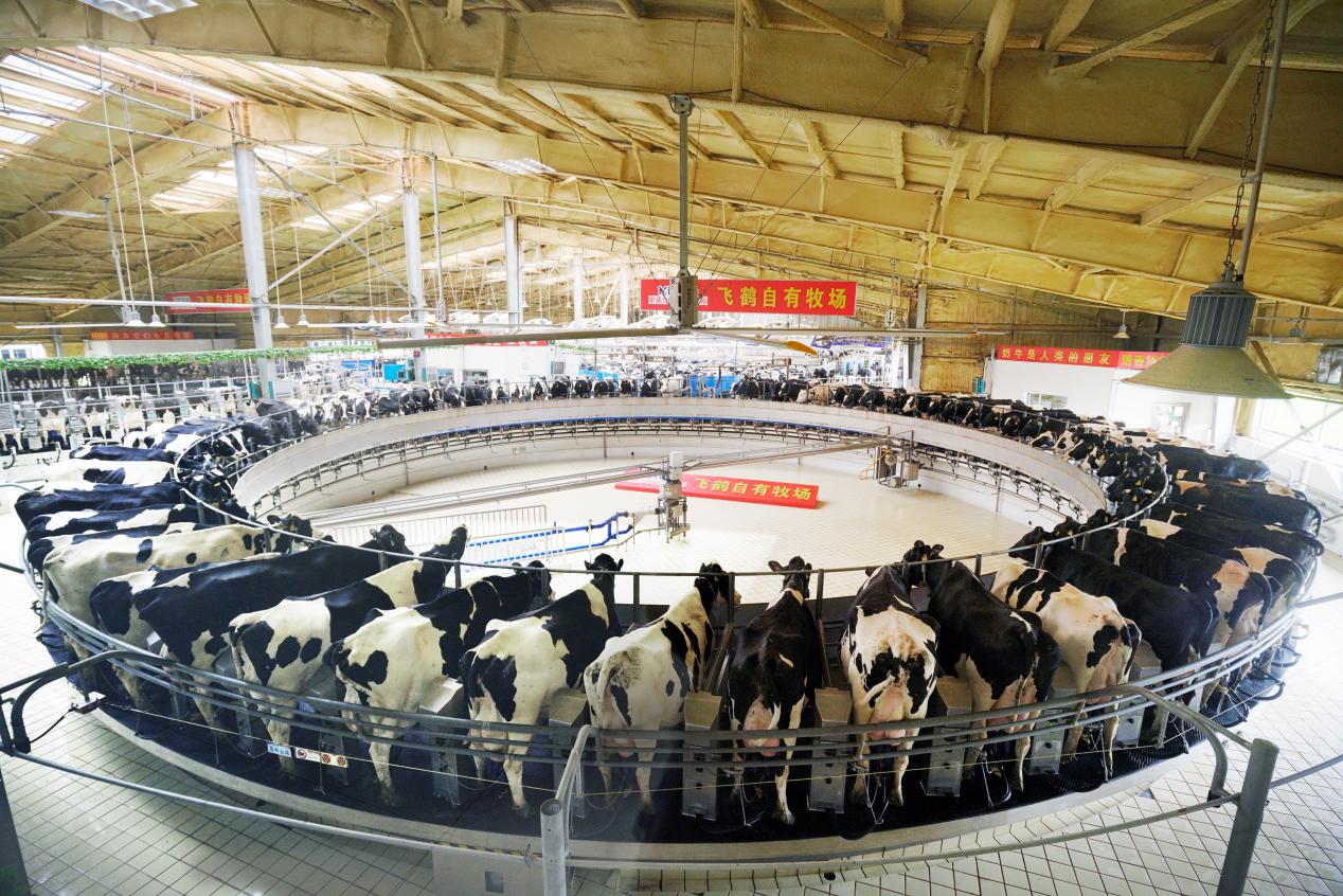 “智造”牵引国产粮机装备升级