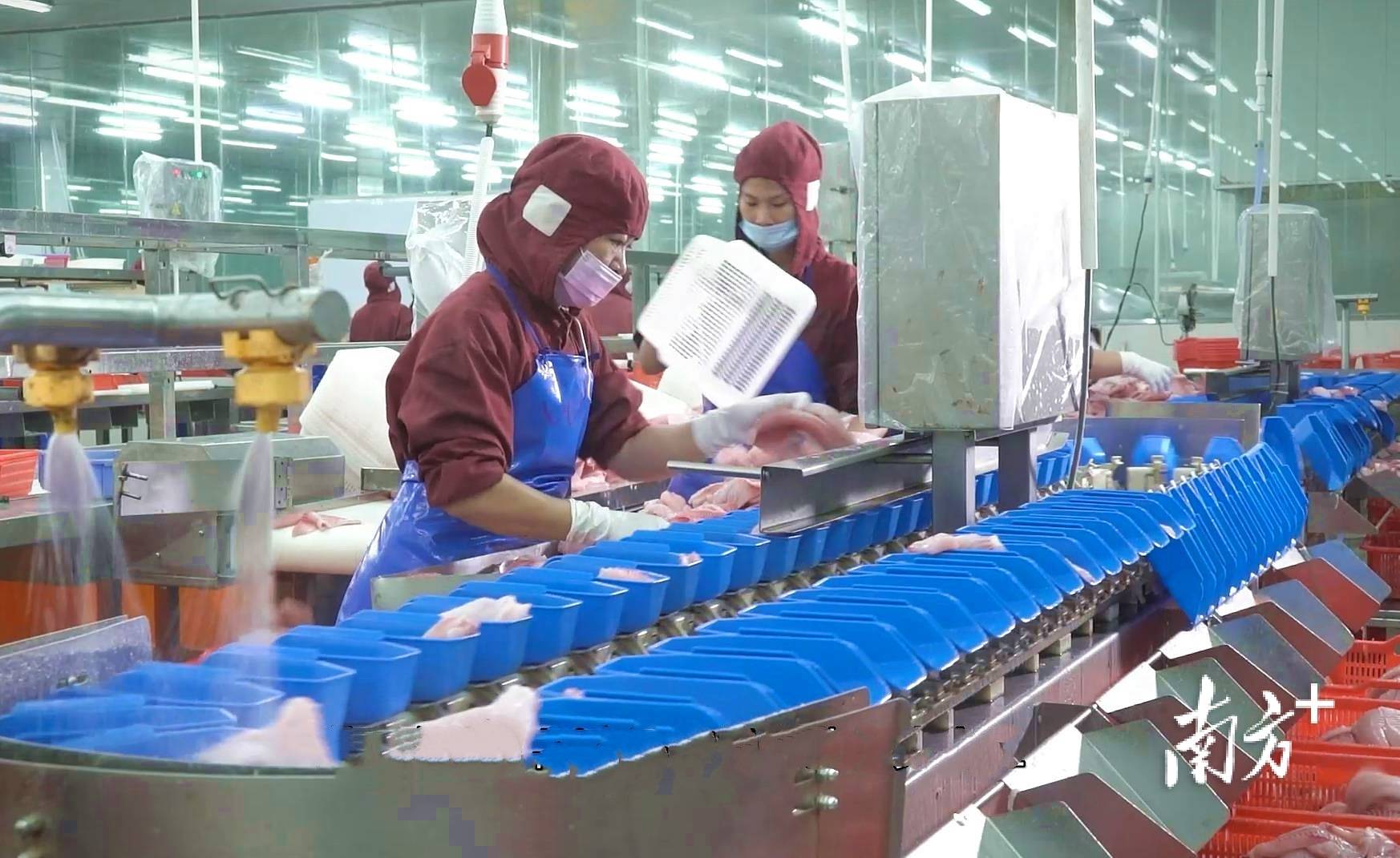 保险有温度,人保财险政银保 _2025中国CT机行业市场全景调研及发展现状、投资价值分析