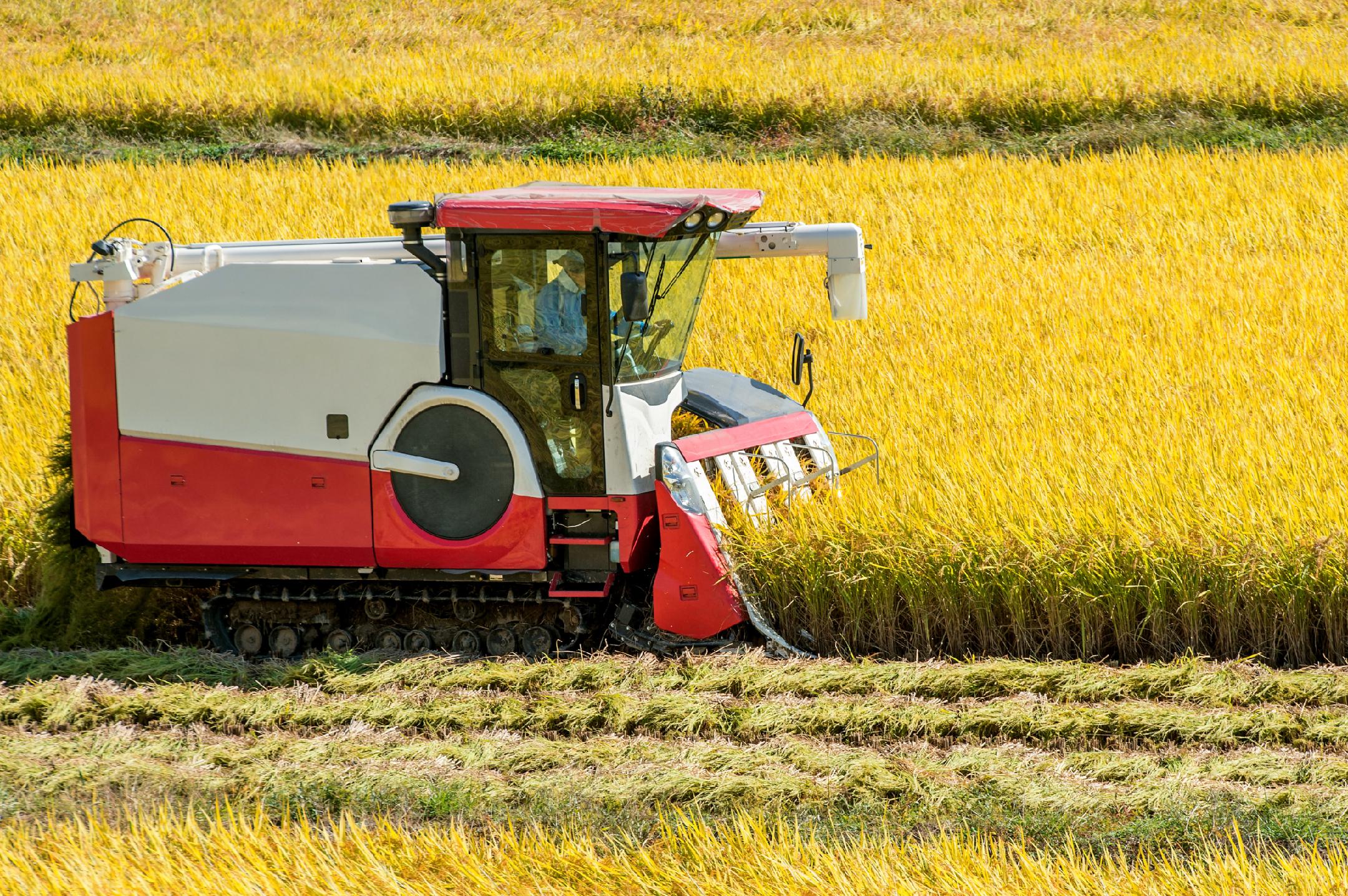 中央财政下达10.15亿元资金 支持受灾地区恢复农业生产