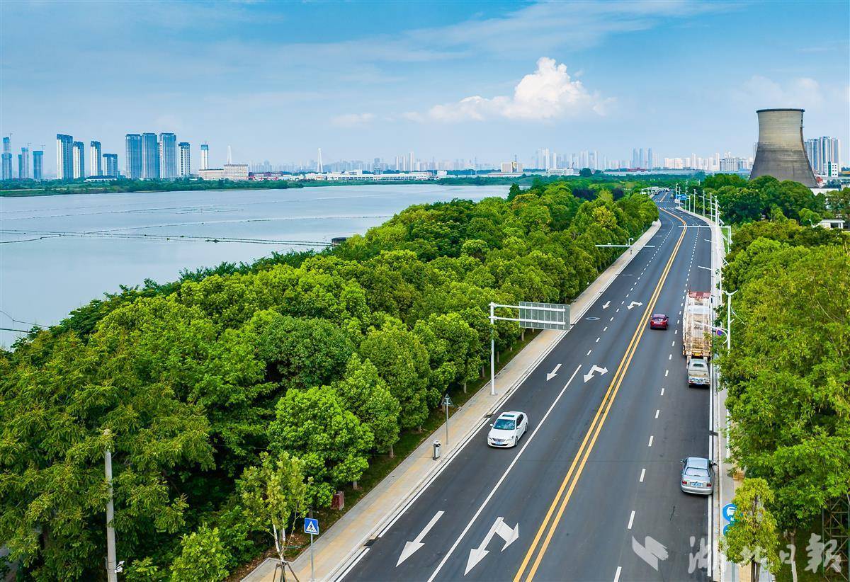 保险有温度,拥有“如意行”驾乘险，出行更顺畅！_中国民营经济行业分析：“十四五”以来，我国企业净增1999.9万户