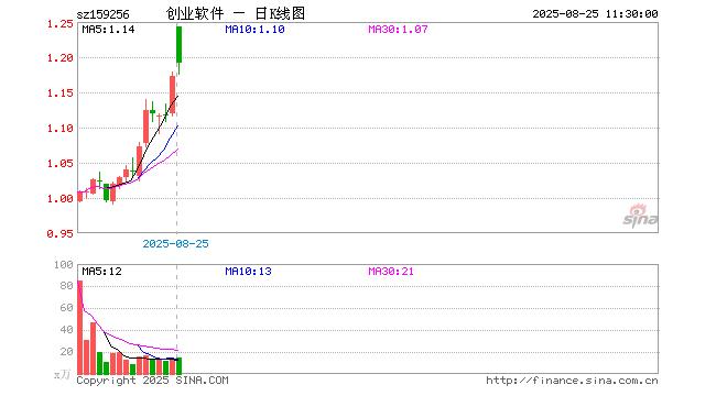 软通动力大宗交易成交217.39万元