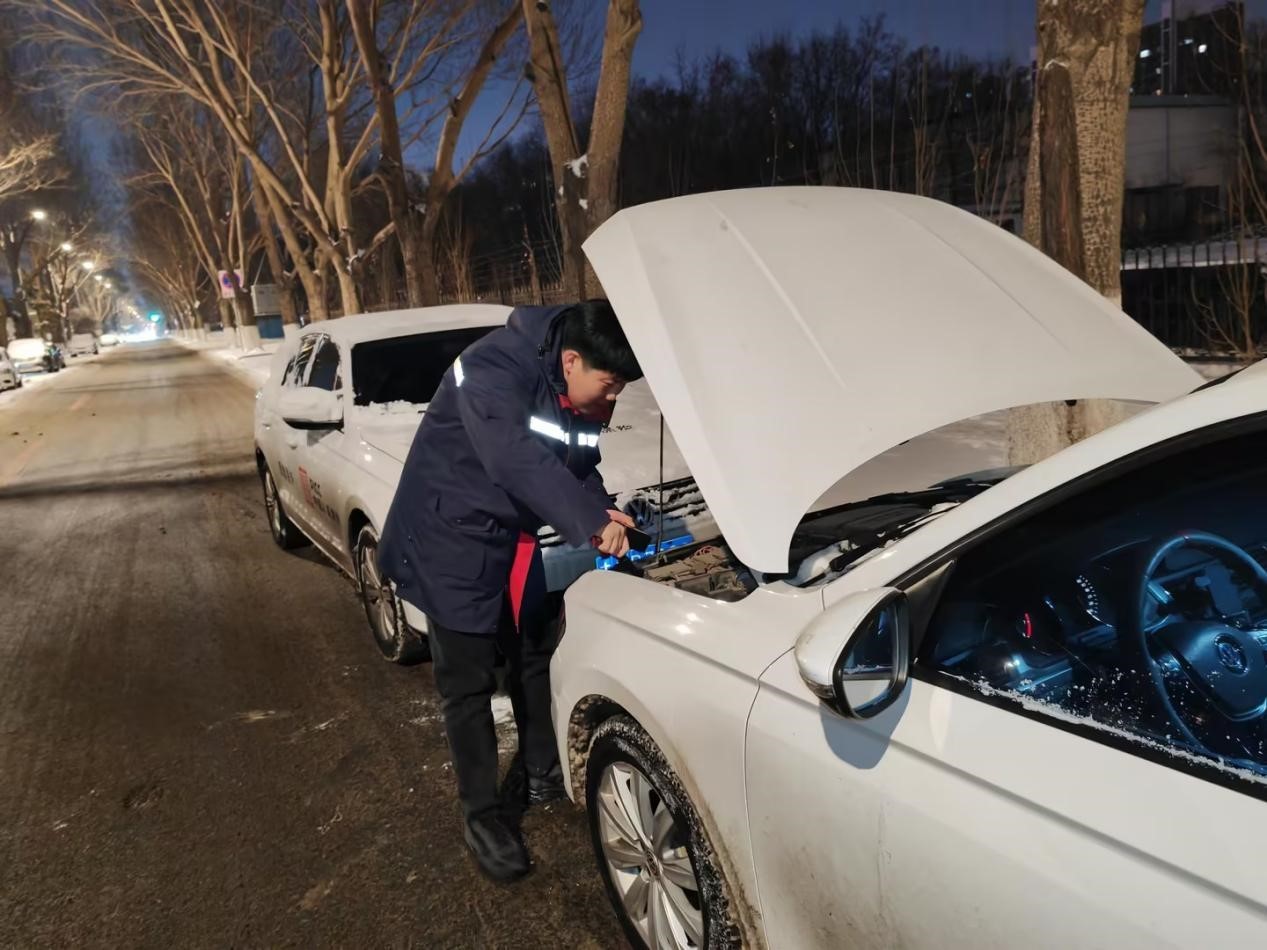 人保车险,人保护你周全_2025年党参种植行业：传统与现代的融合