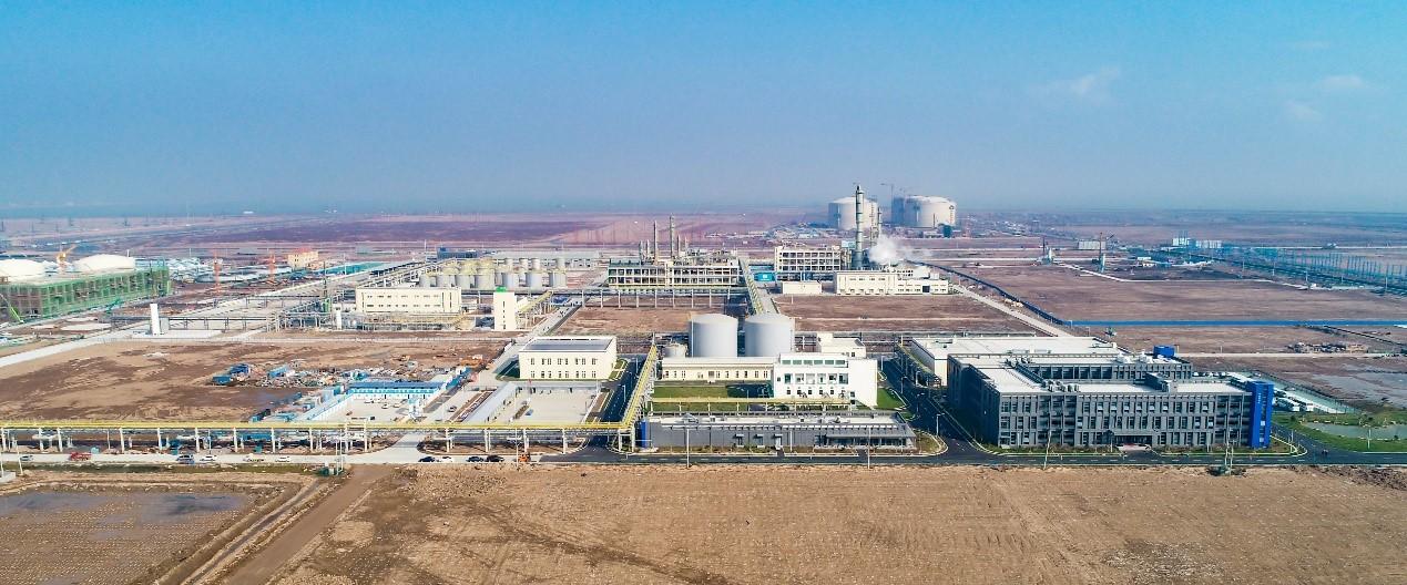 中化国际：巩固核心竞争优势 加速新兴市场开拓