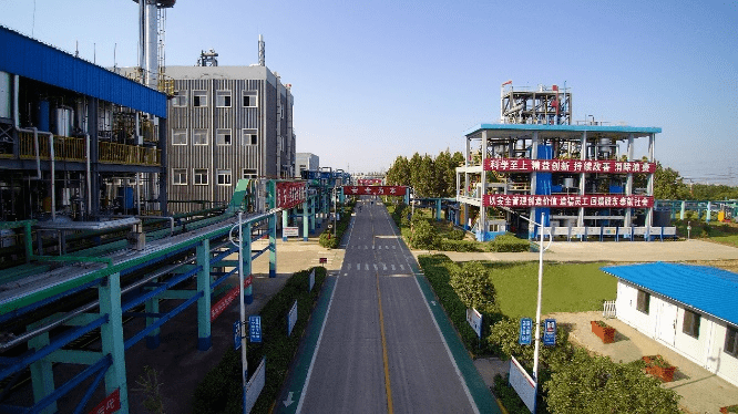 中化国际：巩固核心竞争优势 加速新兴市场开拓