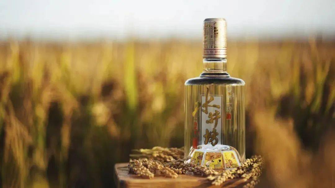 甘源食品2025年上半年营收、净利“双降”