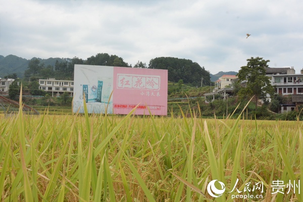 茅台农商行被罚款151.6万元 时任董事长吴剑波等三名高管被罚7.5万元