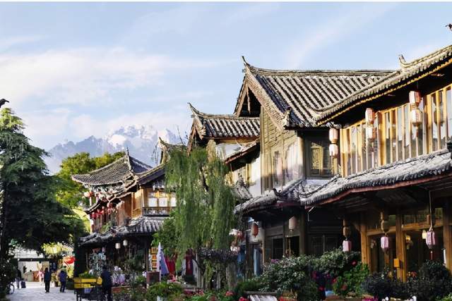 云南旅游（002059）2025年中报简析：净利润同比下降110.85%，三费占比上升明显