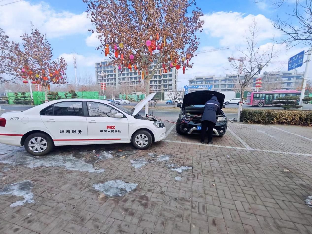 人保车险   品牌优势——快速了解燃油汽车车险,人保服务 _2025年针叶樱桃行业：天然维生素C之王