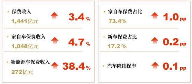 人保车险   品牌优势——快速了解燃油汽车车险,人保财险政银保 _2025女鞋行业：如何规避同质化陷阱与库存周期魔咒