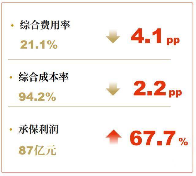 人保车险   品牌优势——快速了解燃油汽车车险,人保财险政银保 _2025女鞋行业：如何规避同质化陷阱与库存周期魔咒