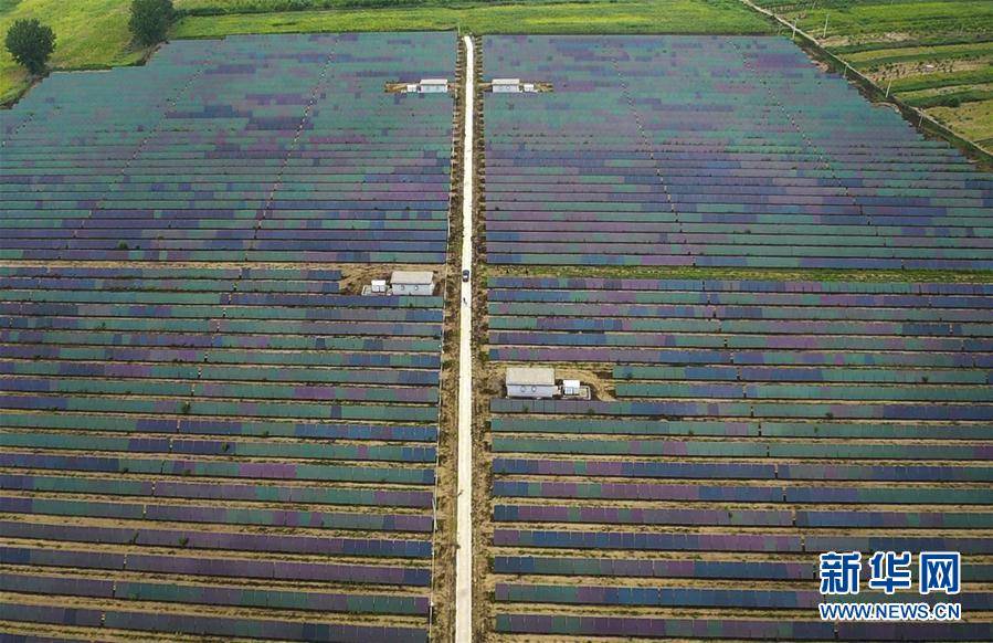 湖南华容县原县委书记刘铁健：地方特色产业如何强县富民